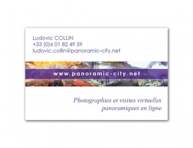 Carte de Visite Panoramic City